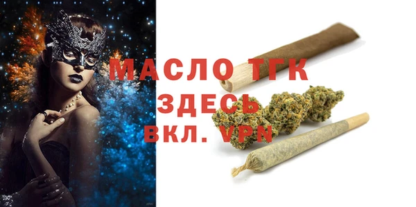 шишки Няндома