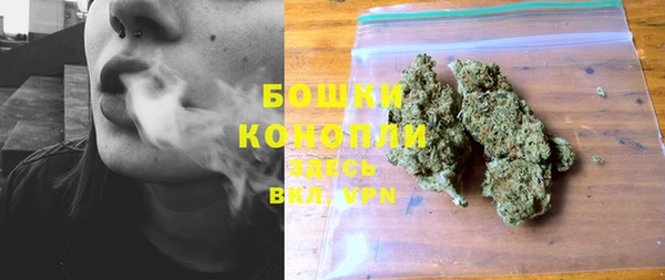 шишки Няндома