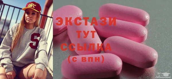 шишки Няндома