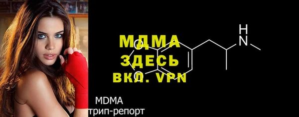 шишки Няндома