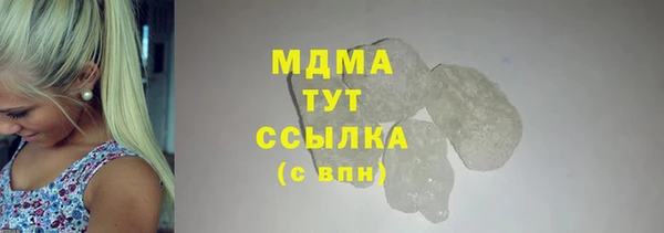 шишки Няндома