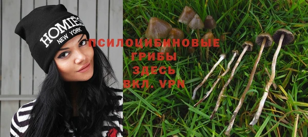ECSTASY Нягань