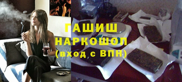 шишки Няндома
