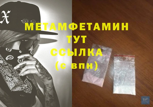 шишки Няндома