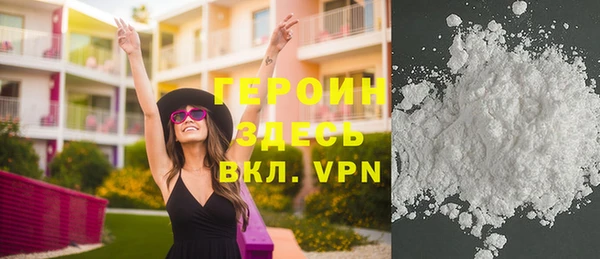 шишки Няндома