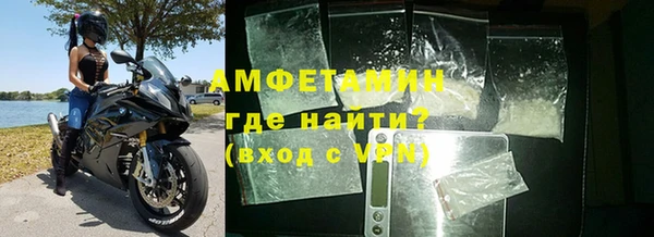 шишки Няндома